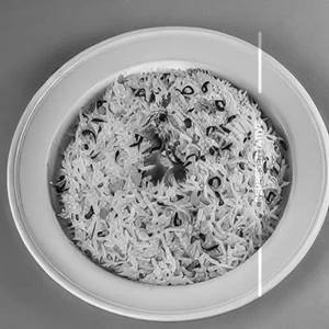 Jeera Rice