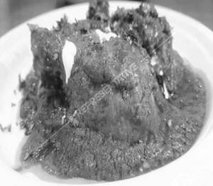Chicken Tangdi Masala