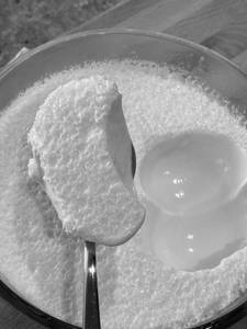 Plain Dahi