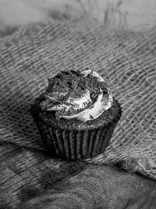 Chocolate Truffle Cupcake