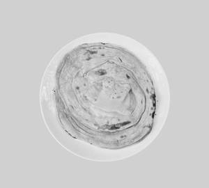 Tandoor paratha