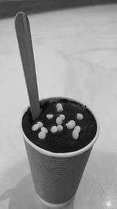 Chocolate Cupcake