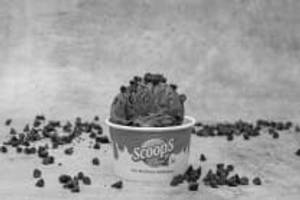 Choco Chips 