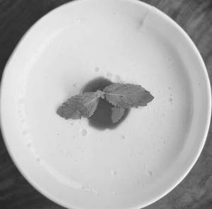 Baked Yogurt (non-keto)