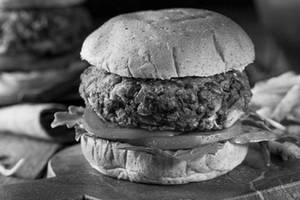 Zoca's Mixed Bean Burger