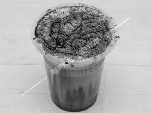 Oreo Shake [350ml]