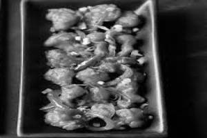 Gobhi Chilli