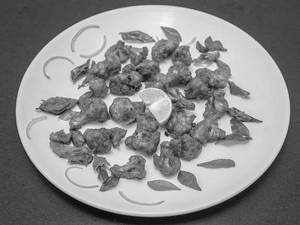 Gobi 65
