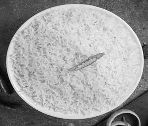 Plain Steam Rice
