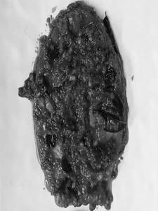 Anjal/seer Fish Masala Fry