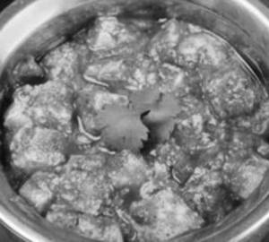 Paneer Amritsar