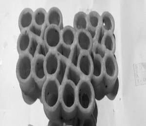 Achu Muruku (10 Pieces) [XS]