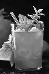 Watermelon Mint  