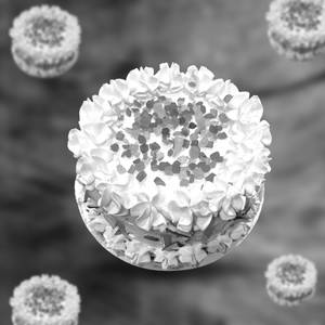 Rajbhog cake