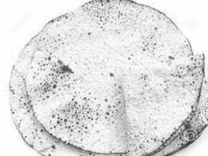 Roasted Papad