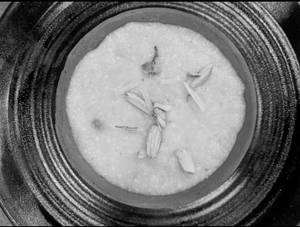 Lucknowi Kheer