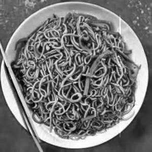 Manchow Fried Noodles 