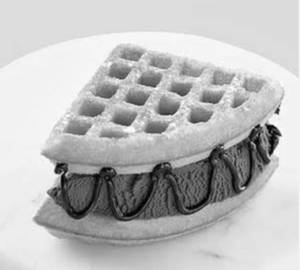 Ice Cream & Fudge Chocolate Waffle
