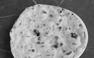 Tandoori Roti