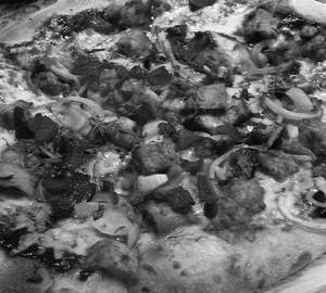 8" Chicken Paneer Pizza 8ins