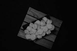 Garlic Murukku