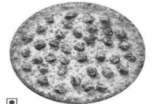 Regular Chicken Pizza