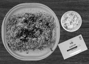 Mutton Keema Biryani