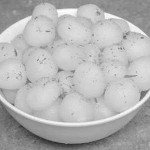 Rasbharri