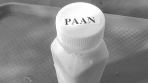 Paan Sweet Lassi