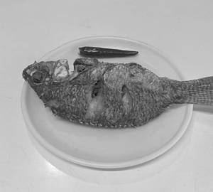 Telapia Fish Fry