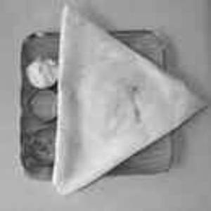 Capsicum Onion Masala Dosa