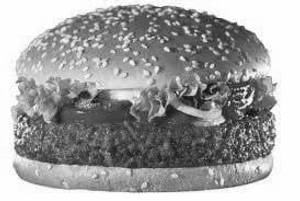 Chicken Burger