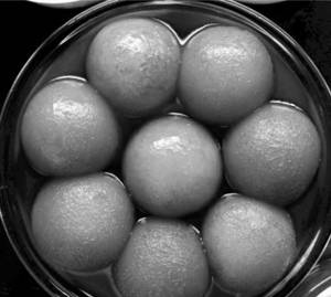 Gulab Jamun Special (2pcs)