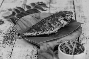 Bangda Fry [ Mackerel / Ayala  ]
