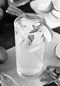 Lime Mint Mojito