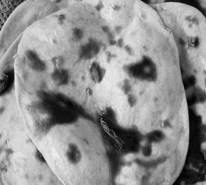 Stuffed Parantha