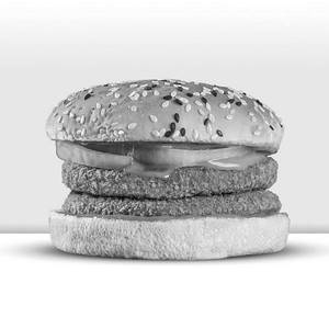 Crispy Double Chicken Burger