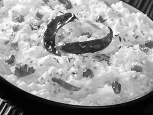Curd rice