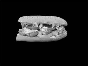 American Paneer Sub