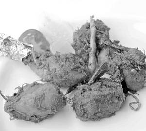 Chicken Roast