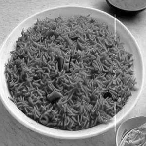 Masala Rice