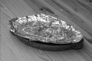 Paneer Angara