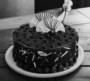 Rich Chocolate Cake