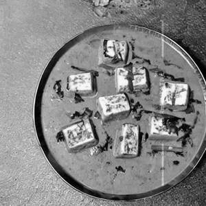 Paneer Methi Malai