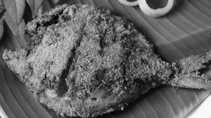 Pomfret Rava Fry