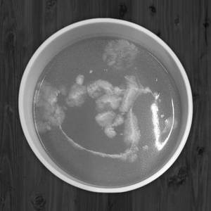 Cream of tomato