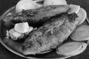Surmai Fry