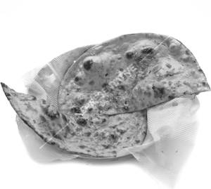 Butter Tawa Roti