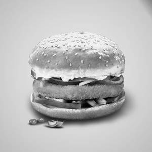Hungry Bird Burger
