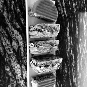 Veg Grilled Panini
